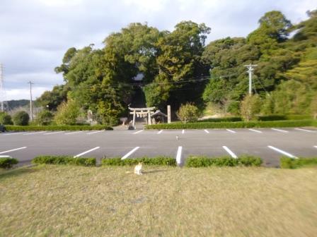 神子公園4